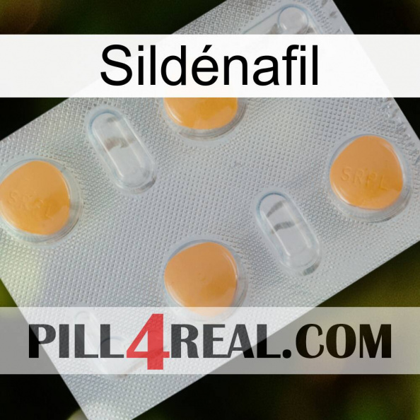 Sildénafil 24